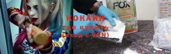 крисы Алзамай