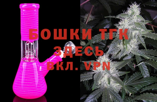 крисы Алзамай