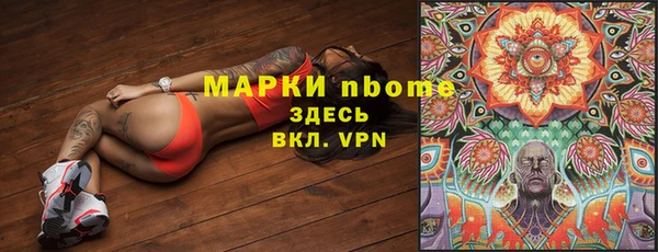 крисы Алзамай